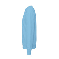 PicoVR Pico Paw Fluffy Sweatshirt