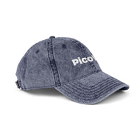 PicoVR Vintage Embroidered Cap